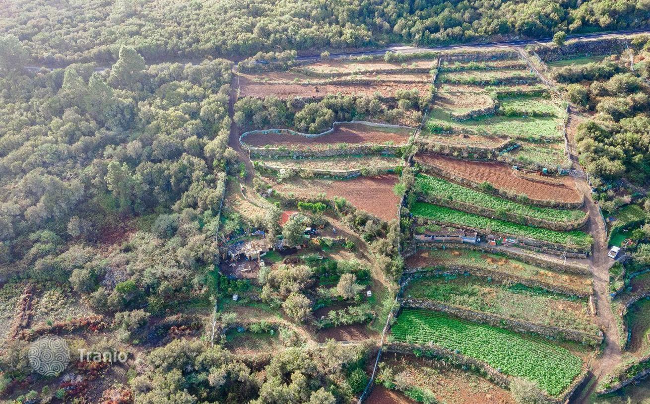 Land Plot with Fruit Orchard on Tenerife, Spain, photo 4