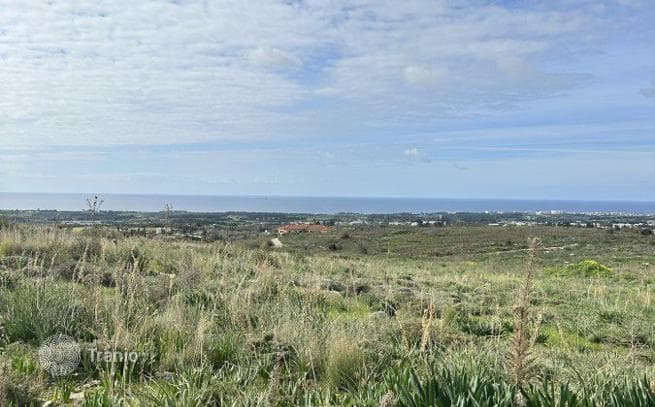 Land Plot in Paphos, Cyprus, photo 4