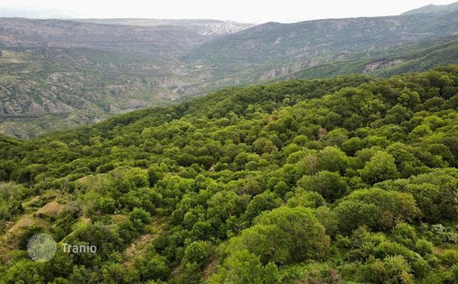 Земельный участок на улице Крцаниси, Грузия