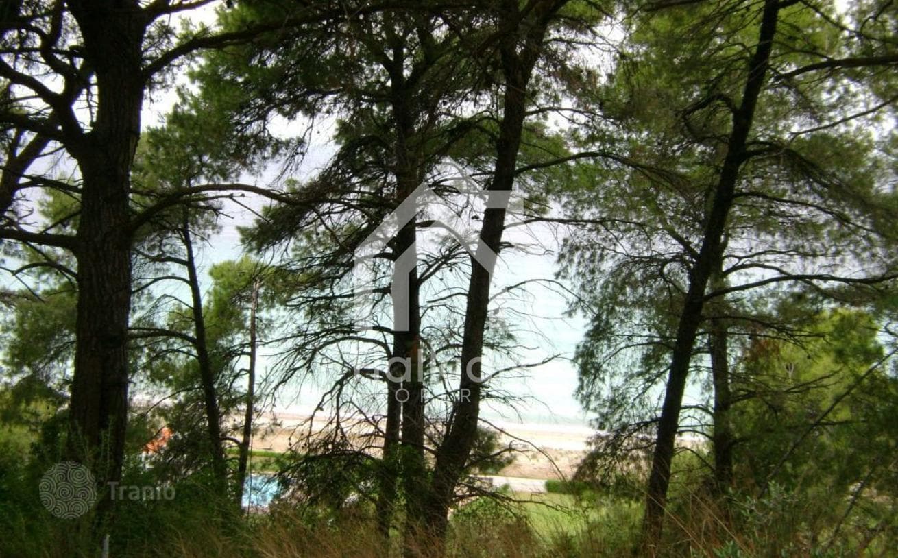 Land Plot with Forest and Beach in Kassandra, Greece, photo 2
