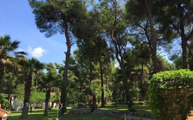 10-Room Villa with Garden and Parking in Kassandra, Greece, photo 4