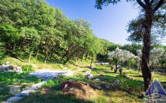 14,551 m² Land Plot in Budva, Montenegro, photo 5