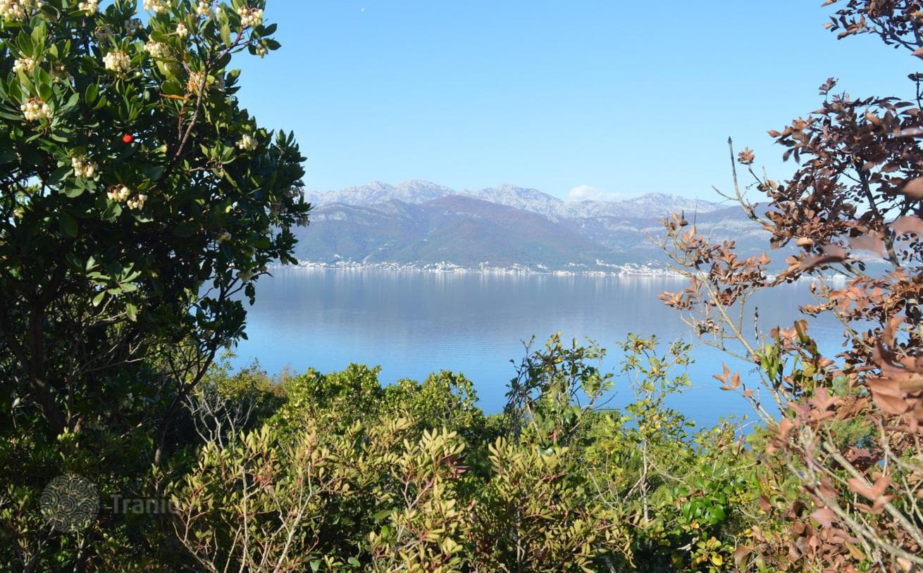 Land Plot with Sea View in Radovici, Tivat, photo 3