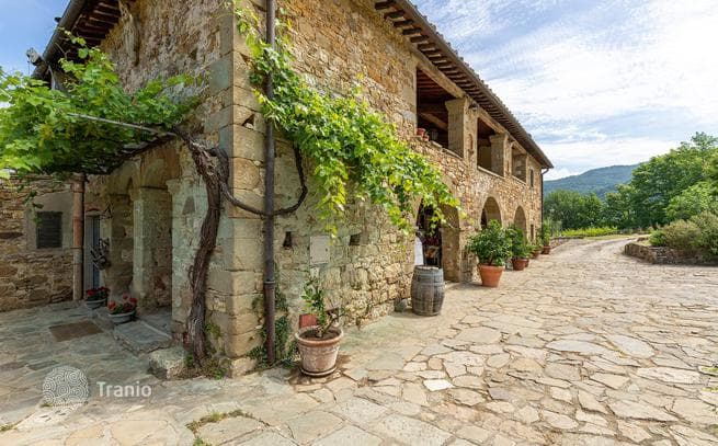 Working Farm with Vineyard near Florence