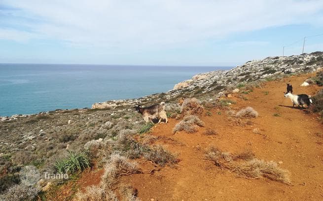 Beachfront Land Plot in Chania, Crete