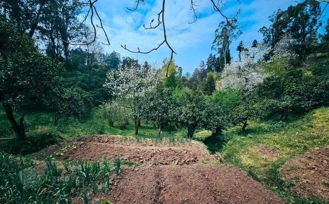 470 m² Land Plot with Mountain and Sea Views in Tskhilisdziri