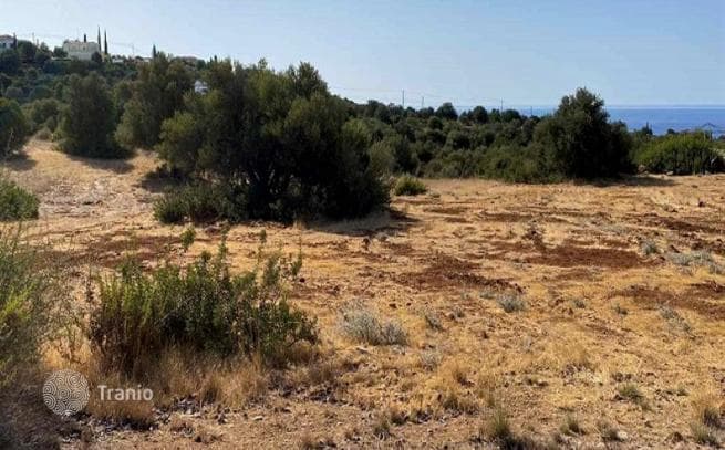 Land Plot with Sea View in Pafos, Cyprus, photo 2