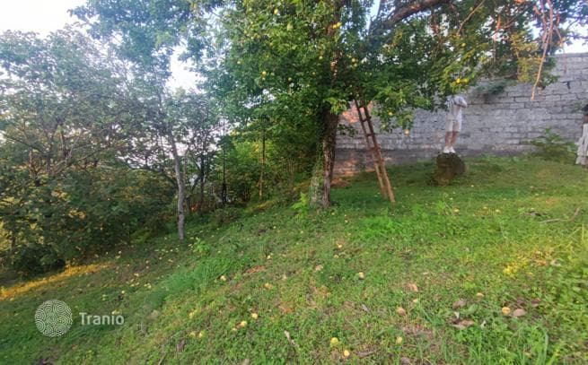 Land with Panoramic Sea and Mountain Views in Chakvi, Batumi, photo 4