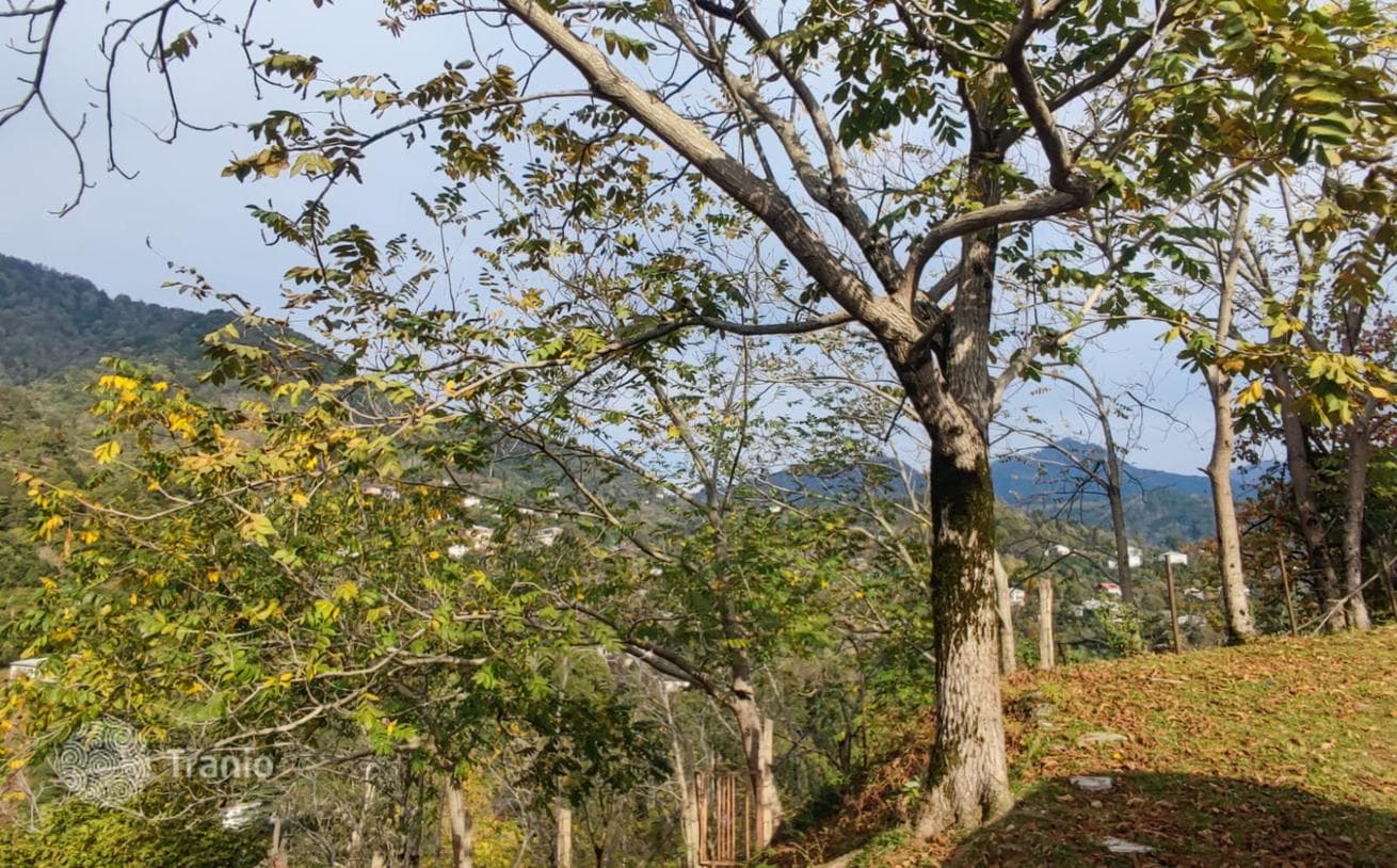Land Plot with Sea and Mountain Views near Batumi, Chakvi, photo 2