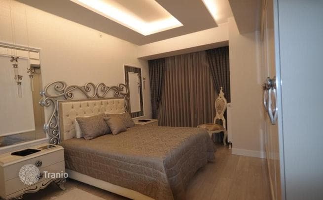 Spacious Apartment with Shared Pool and Gym in Kadikoy, Istanbul, photo 5