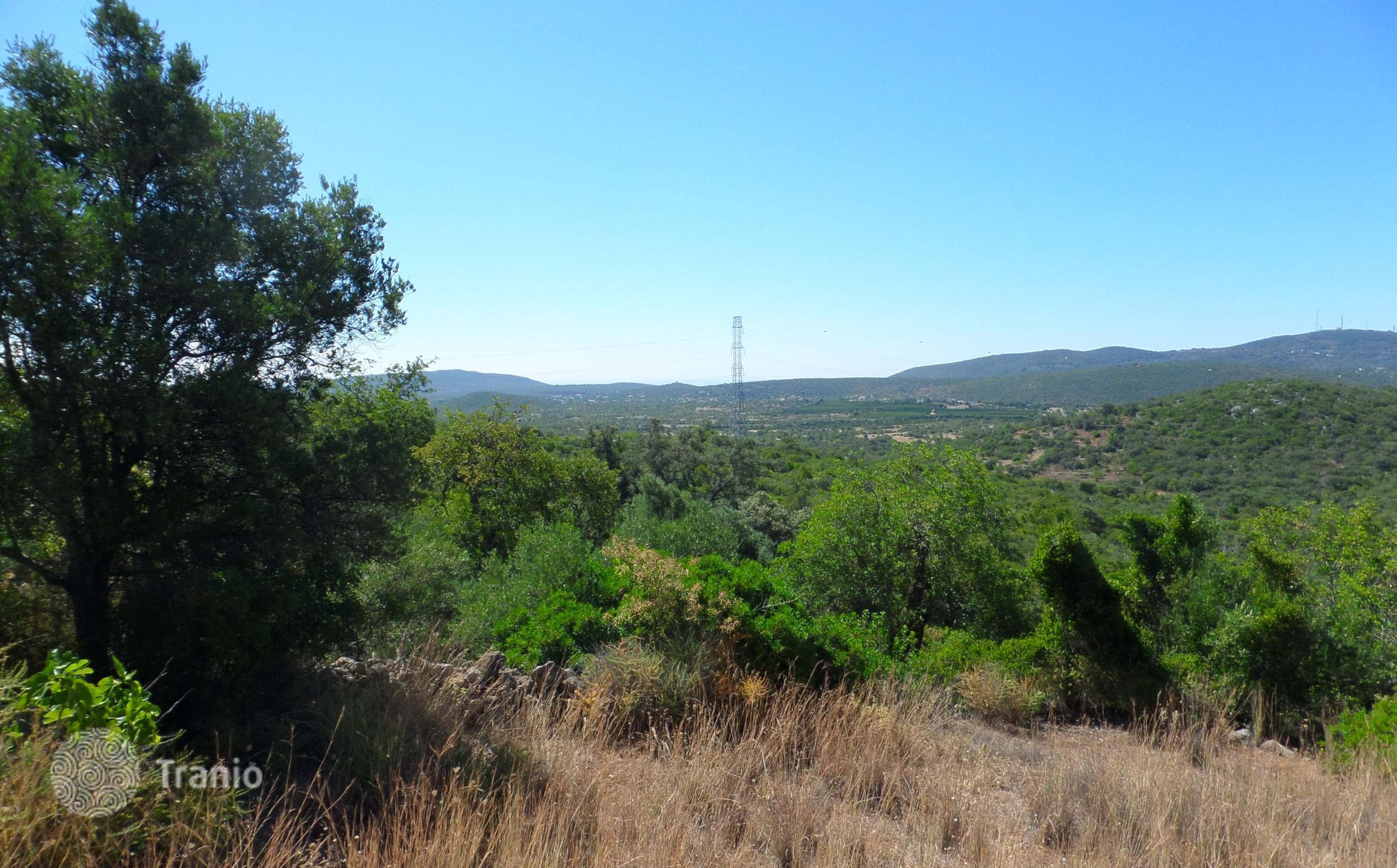 Land Plot in São Brás de Alportel, photo 2