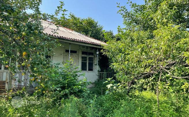 Land Plot 500 m from the Sea near Batumi, photo 2