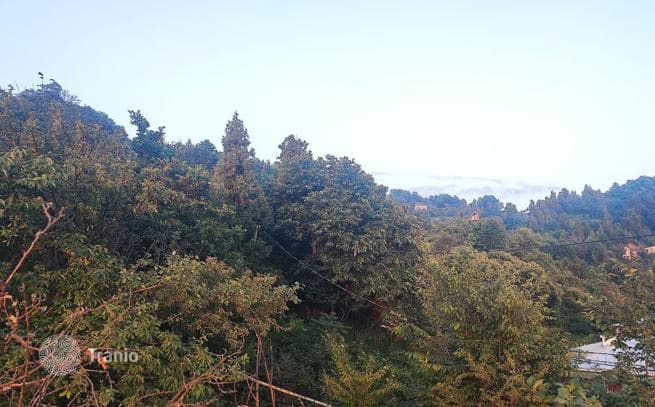 Land with Panoramic Sea and Mountain Views in Chakvi, Batumi, photo 3