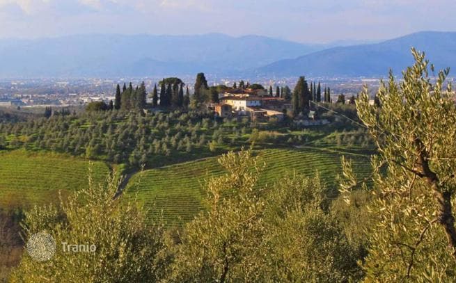 Farm in Scandicci, Florence, photo 4