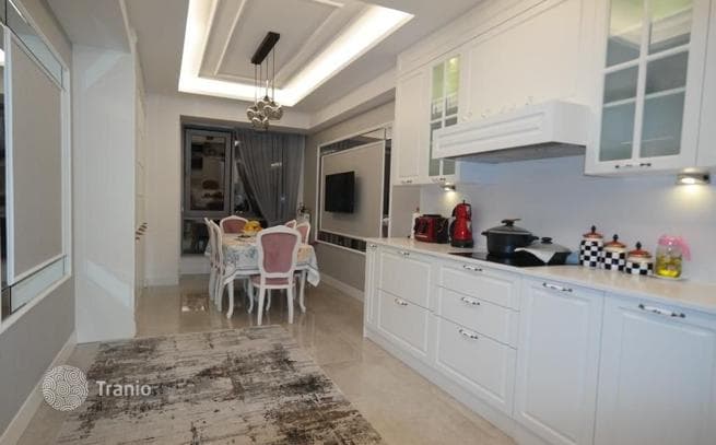 Spacious Apartment with Shared Pool and Gym in Kadikoy, Istanbul, photo 3