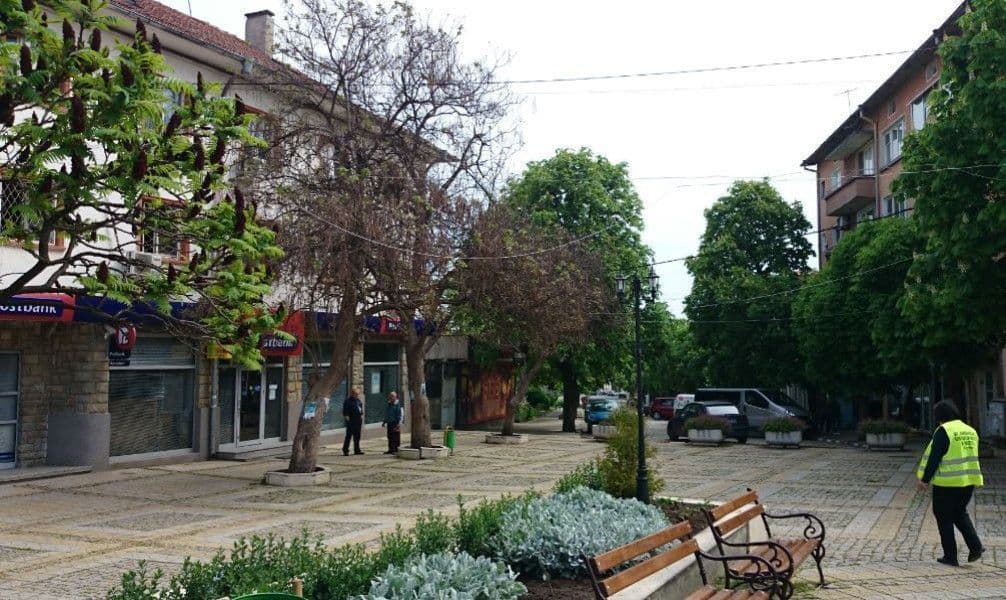 1-Bedroom Apartment in Sredets, photo 5