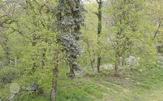 30-Room Historic Villa 1,130 m² in District 2, Budapest, photo 4