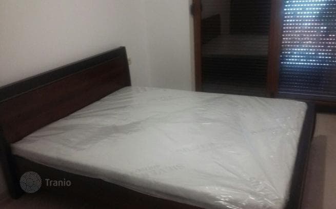 2-Bedroom Furnished Apartment with Terrace 250 m from the Sea in Petrovac, photo 3
