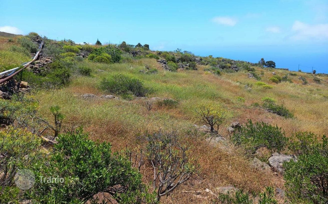 Agricultural Land Plot in Adeje, Tenerife