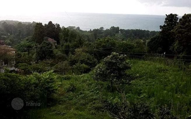 Land Plot with Sea View in Tskhilkitskhi, Adjara, photo 3
