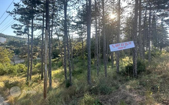 Земельный участок в Тбилиси (город), Грузия, фото 3