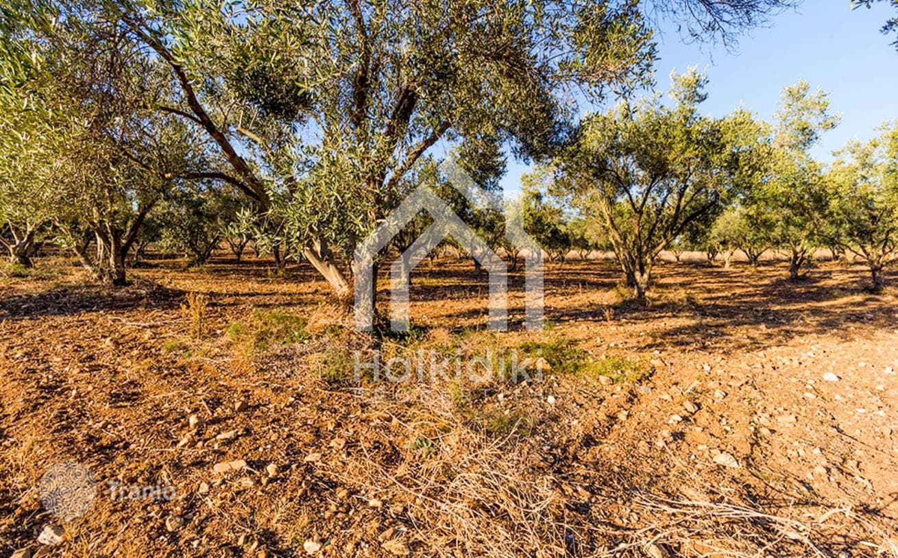 Land Plot with Sea View in Sitonia, Greece, photo 4
