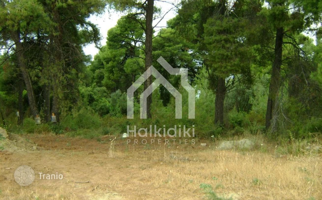 Land Plot with Forest and Beach in Kassandra, Greece, photo 4