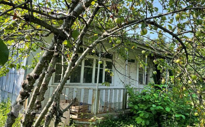 Land Plot 500 m from the Sea near Batumi, photo 4