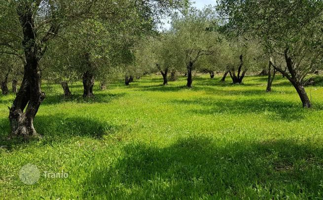Land Plot in Corfu, photo 5