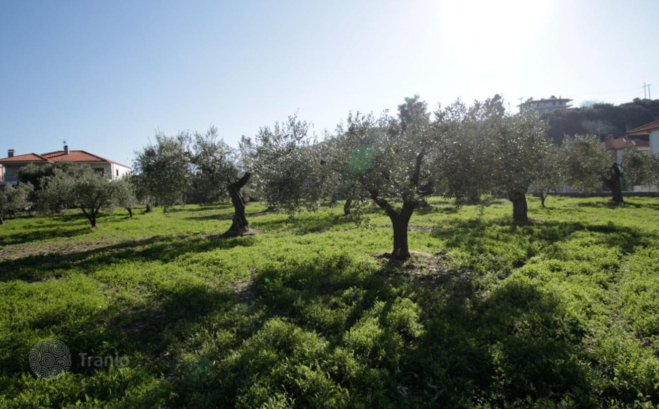 2,800 m² Beachfront Land Plot with Sea and Mountain Views in Kassandra, Halkidiki