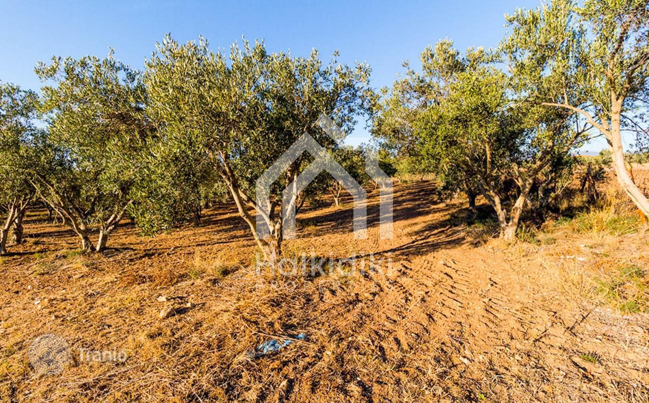 Land Plot with Sea View in Sitonia, Greece, photo 5