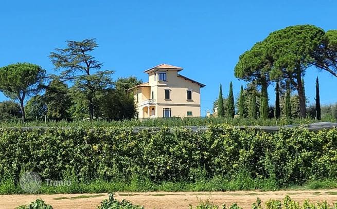 4-Bedroom Villa in Monte San Savino, photo 2