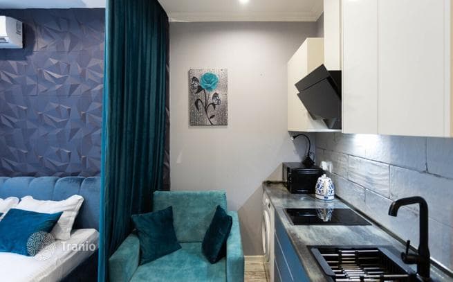 Studio with City and Mountain Views on the Beachfront in Batumi