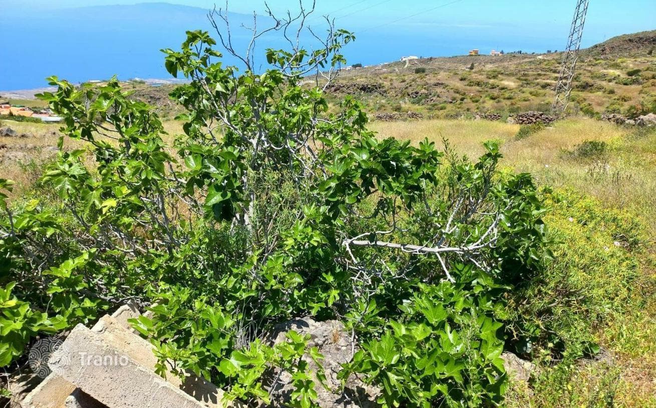 Agricultural Land Plot in Adeje, Tenerife, photo 3
