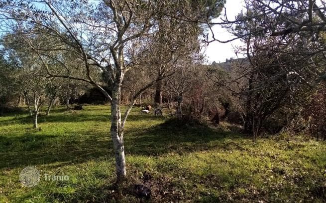 Land Plot in Varipatades, Corfu, photo 4