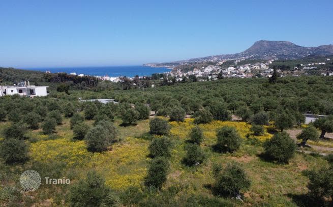 Land Plot with Olive Grove in Kalivesi, Crete, photo 2