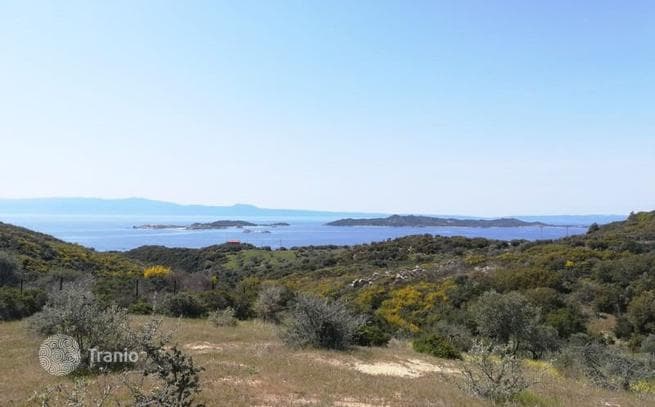 Land Plot with Olive Grove and Sea Views in Mount Athos, Halkidiki