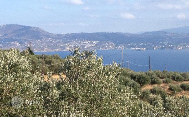 11,700 m² Land Plot with Panoramic Sea and Mountain Views in Sterna, Crete, photo 4