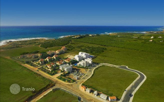 Luxury Villas with Shared Pool and Sea View in Coral Bay, Paphos, photo 5