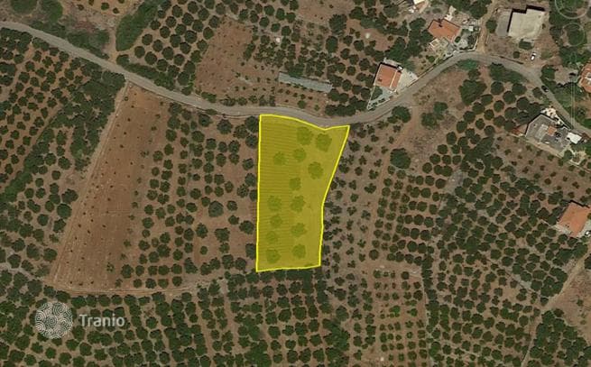 Land Plot in Sissi, Crete, photo 5