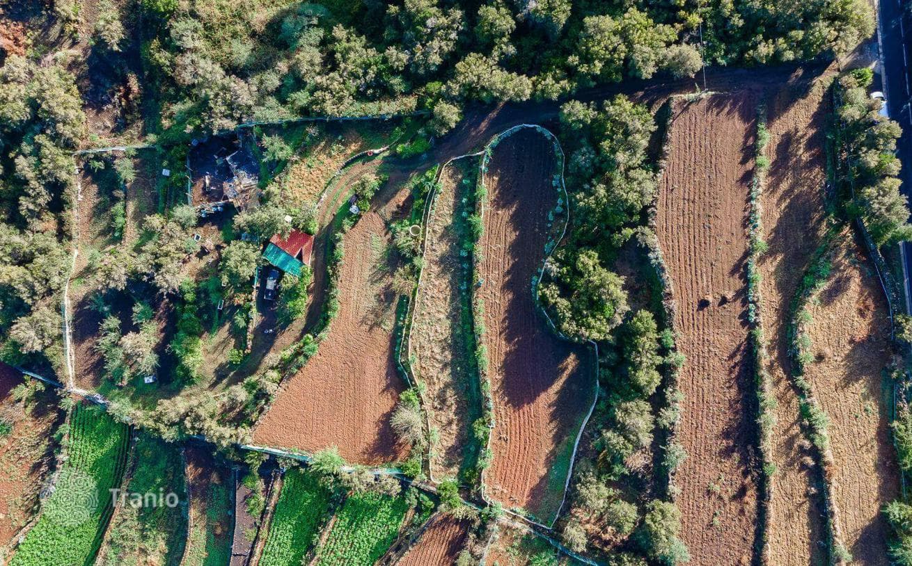 Land Plot with Fruit Orchard on Tenerife, Spain