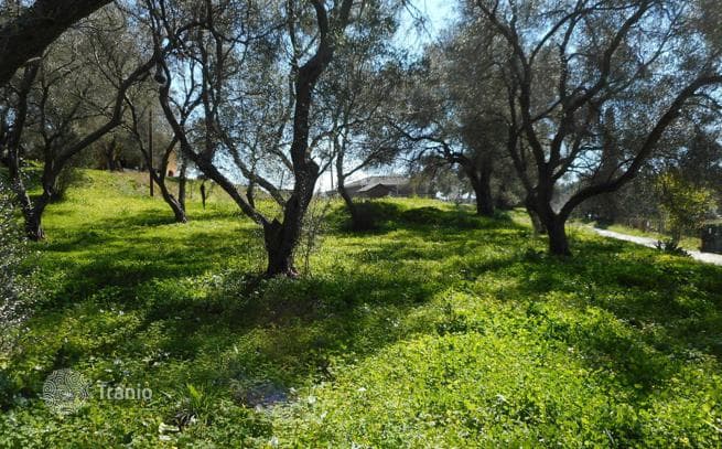 Land Plot in Vitilades, Corfu, photo 2