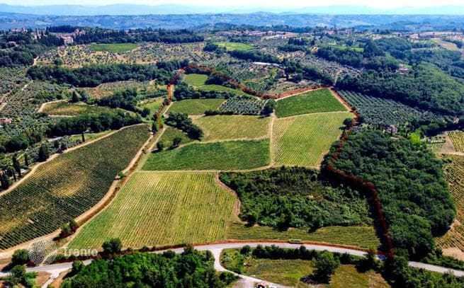 Farm in Florence, Italy, photo 3