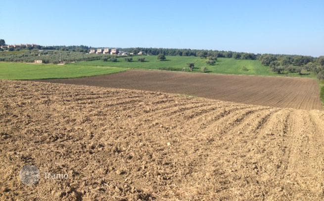 Land Plot with Sea View in Kassandra, Greece, photo 3
