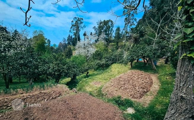 470 m² Land Plot with Mountain and Sea Views in Tskhilisdziri, photo 2