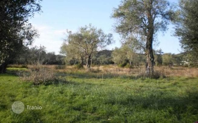 Land Plot with Sea Access in Perivoloi, Corfu, photo 4