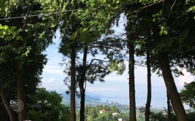 Land Plot with Sea View in Buknari, Batumi, photo 5