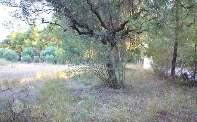 Land Plot in Ormylia, Greece