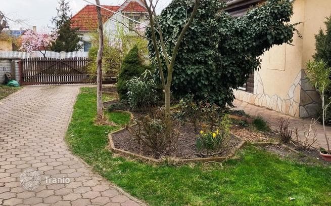 3-Bedroom House in Debrecen, photo 3
