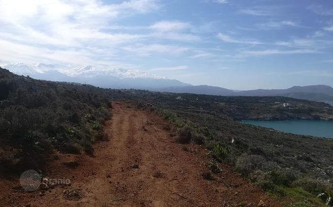 Beachfront Land Plot in Chania, Crete, photo 4